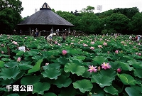 豊かな環境の自然公園