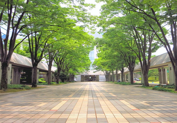 卒業後の進路
