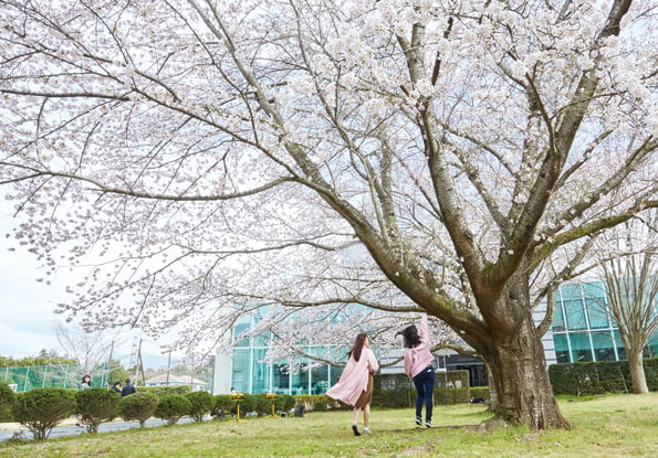 学年暦