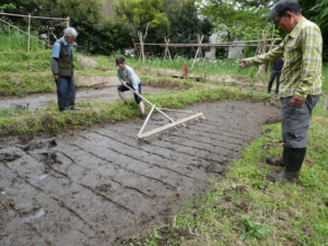 植草共生の森で「田植え体験会」を実施しました