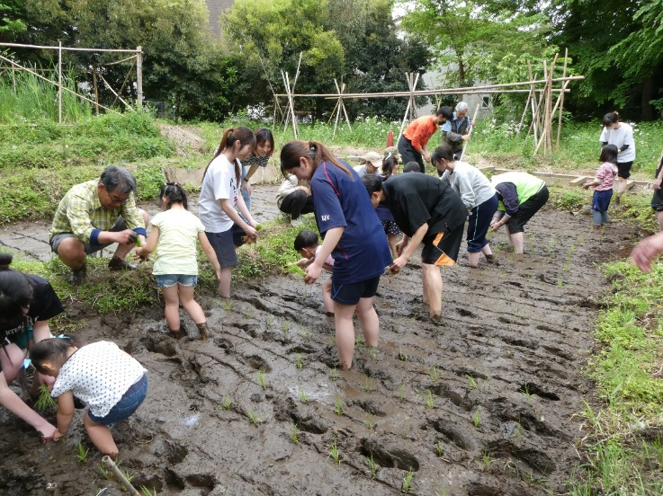 植草共生の森で「田植え体験会」を実施しました