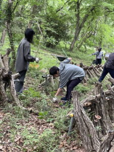 共生の森のシイタケ栽培－ホダ場の整備－