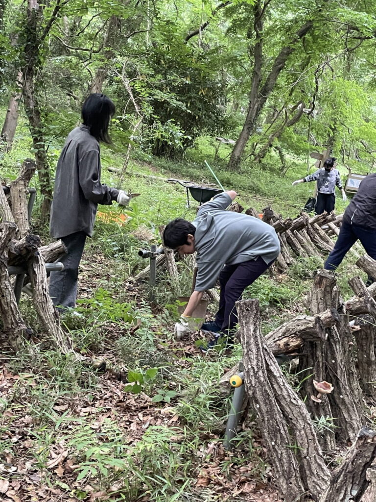 共生の森のシイタケ栽培－ホダ場の整備－