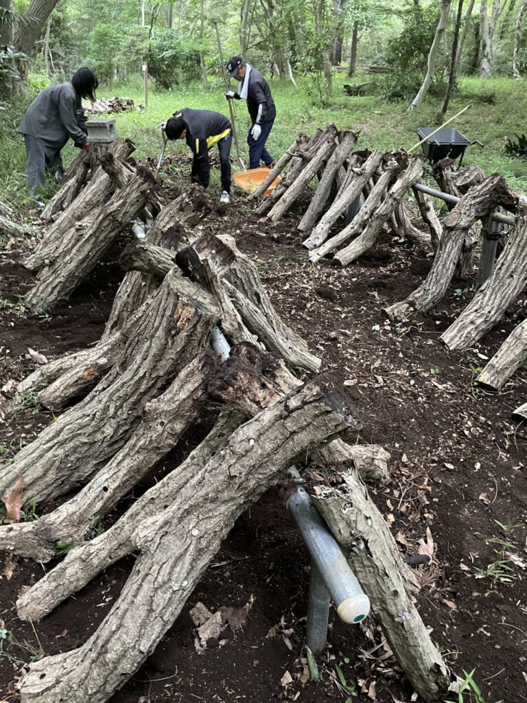 共生の森のシイタケ栽培－ホダ場の整備－