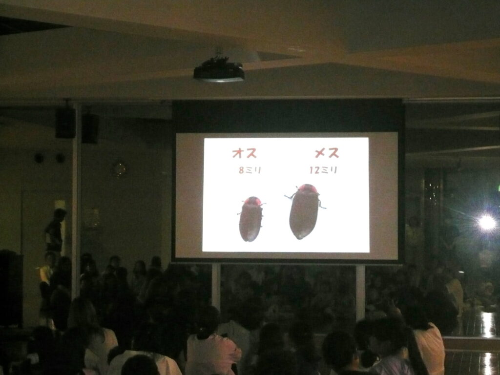「ヘイケボタル観賞会」を開催しました。