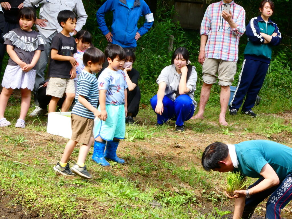 植草共生の森で「田植え体験会」を実施しました