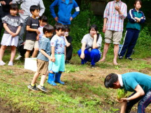植草共生の森で「田植え体験会」を実施しました