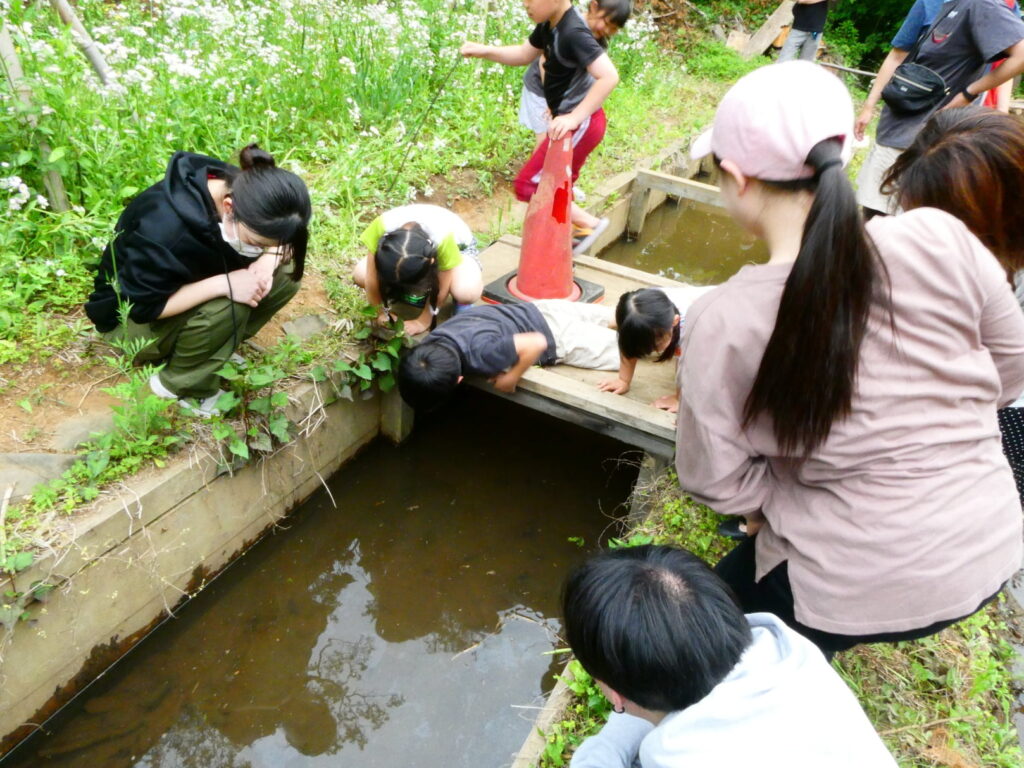 植草共生の森で「田植え体験会」を実施しました
