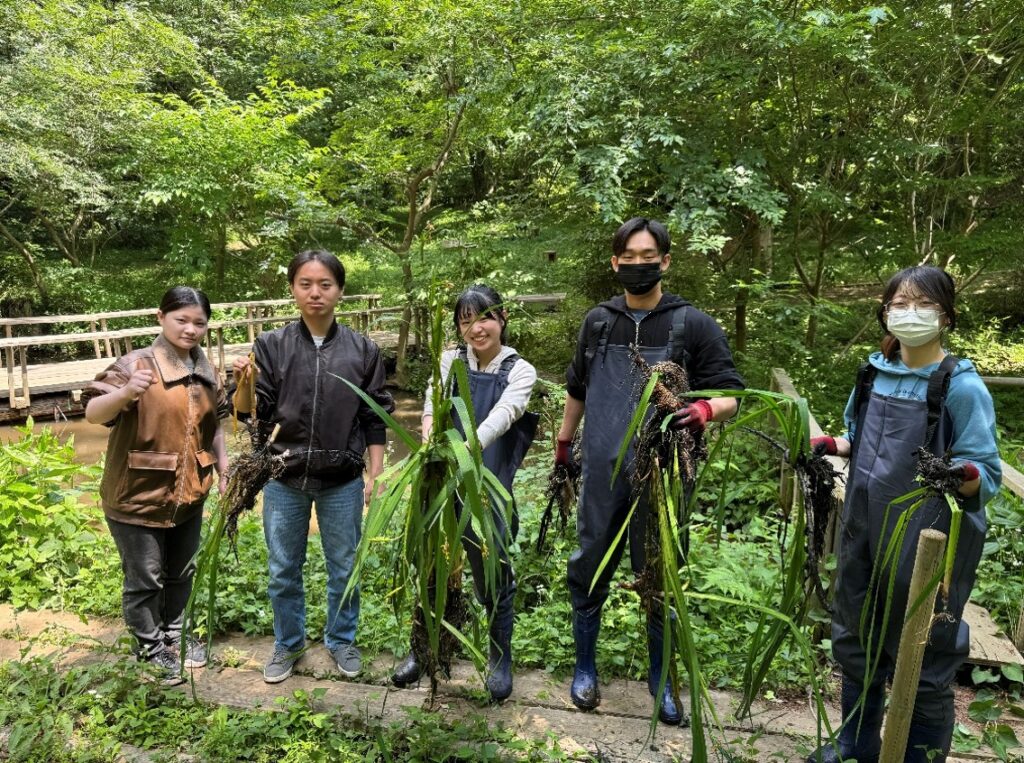 第81回『共生の森人』活動(2026年5月15日)