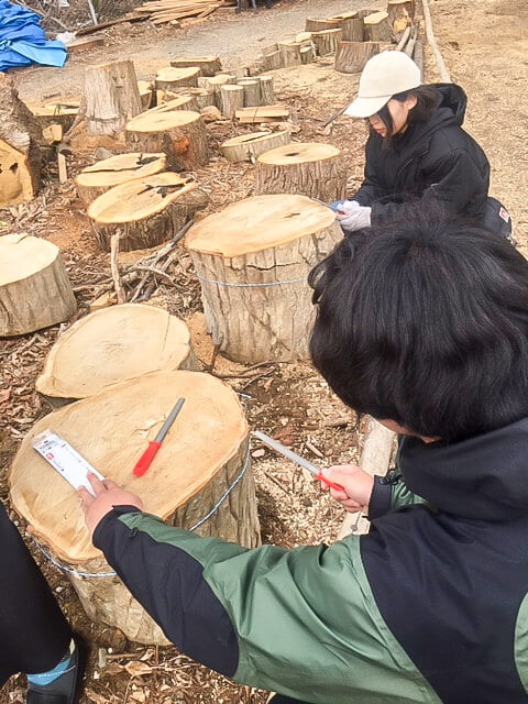 16回『共生の森人』の活動 (2019年2月27日)