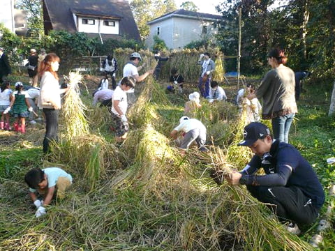 『植草共生の森』の棚田で稲刈りと天日干しを行いました!(2019年10月4日)